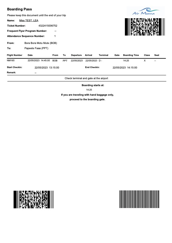 Photo of the existing boarding pass (to home-print) issued during web check-in.